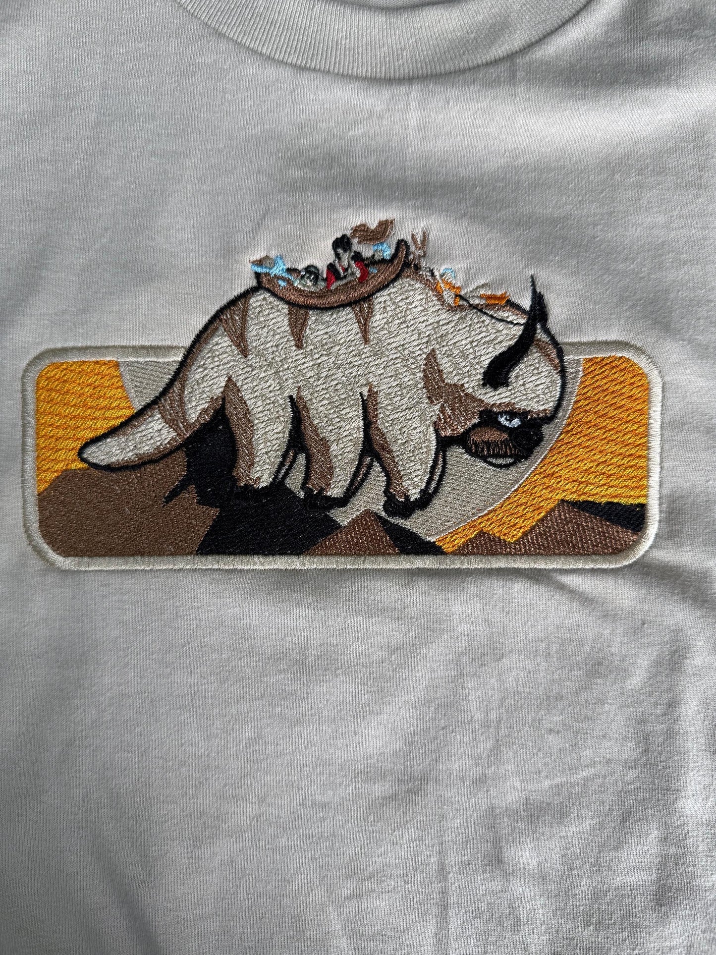 Anime Inspired ATLA Aang Shirt/Sweatshirt/Hoodie.