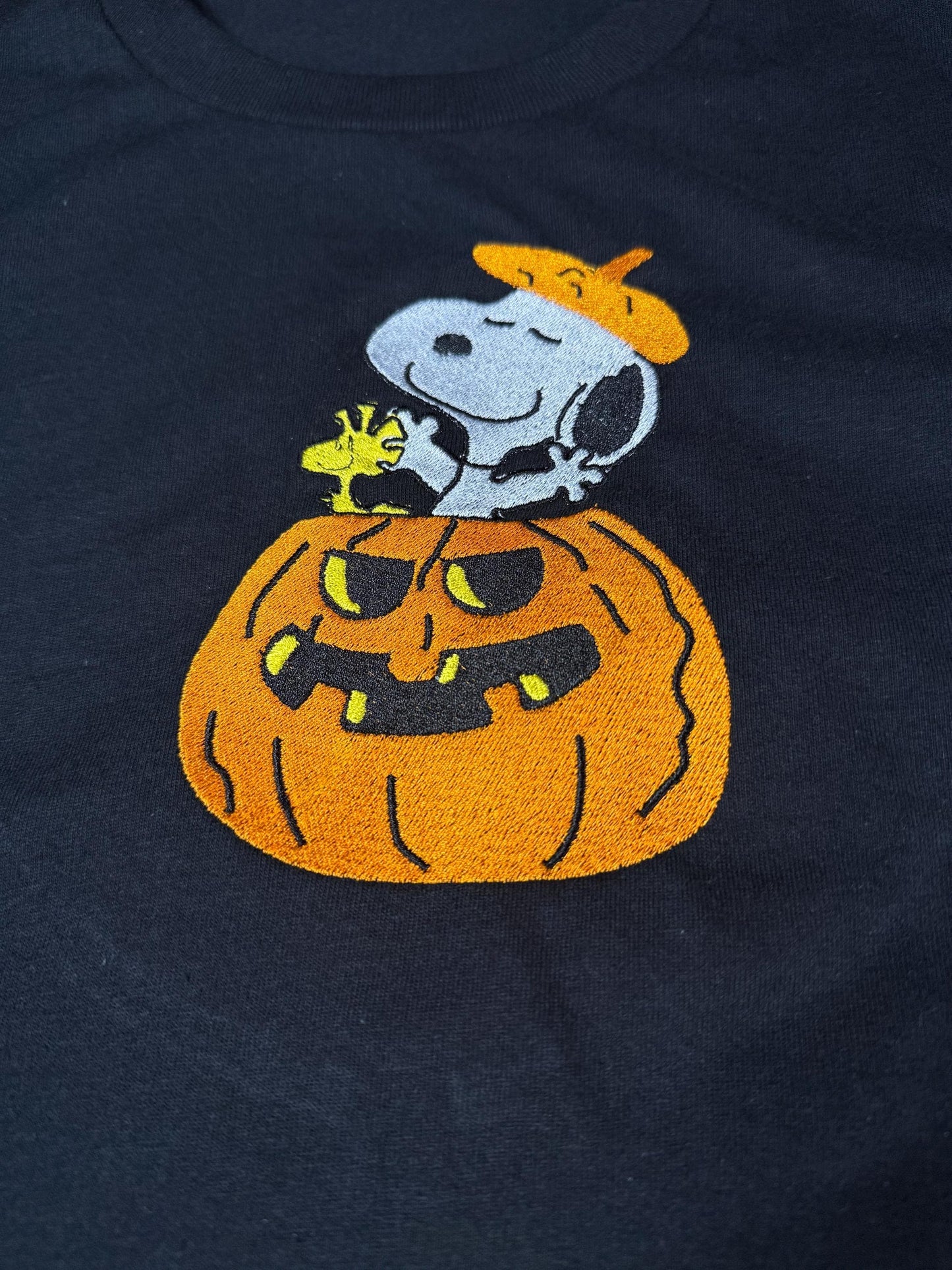 Embroidered Halloween Pumpkin Spooky Season Fall Dog Shirt/Sweatshirt/Hoodie.