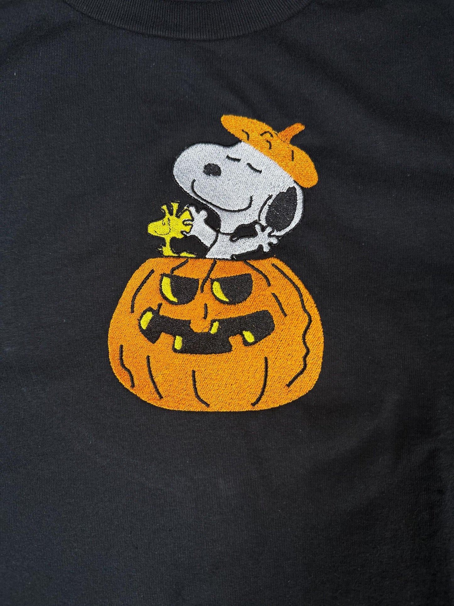 Embroidered Halloween Pumpkin Spooky Season Fall Dog Shirt/Sweatshirt/Hoodie.